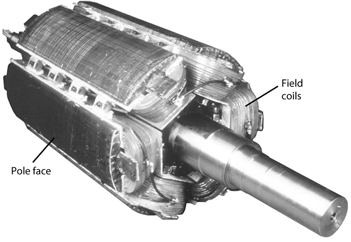 Salient Pole Rotor Learn The Features Simply With The Non one Too 