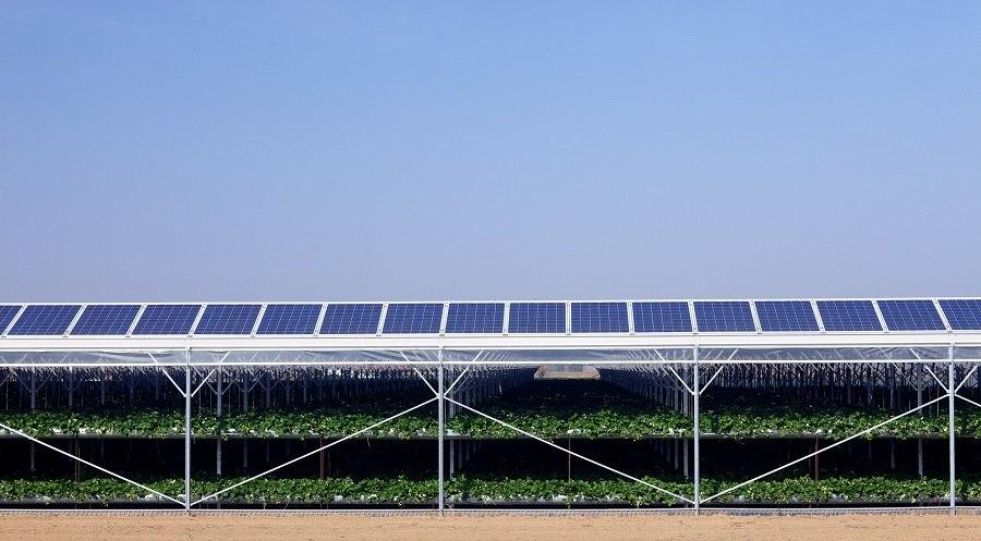 The Top 5 Advantages of Solar Motor Pump Use in Agricultural