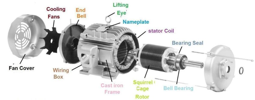 three phase Squirrel-Cage-Induction-Motor - types of electric motors