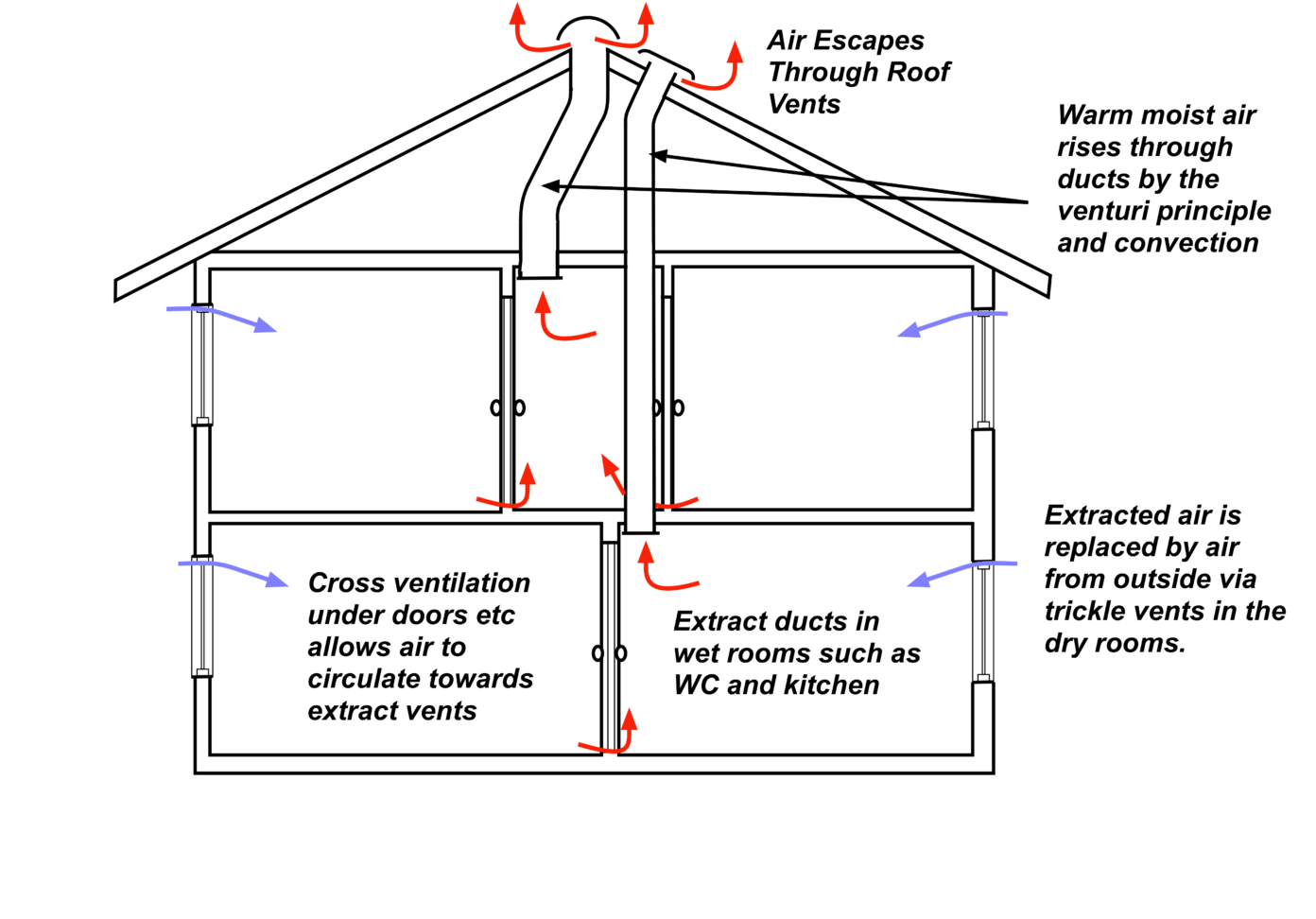 A Flow Diagram To Show The Process Of Ventilation Expiratory