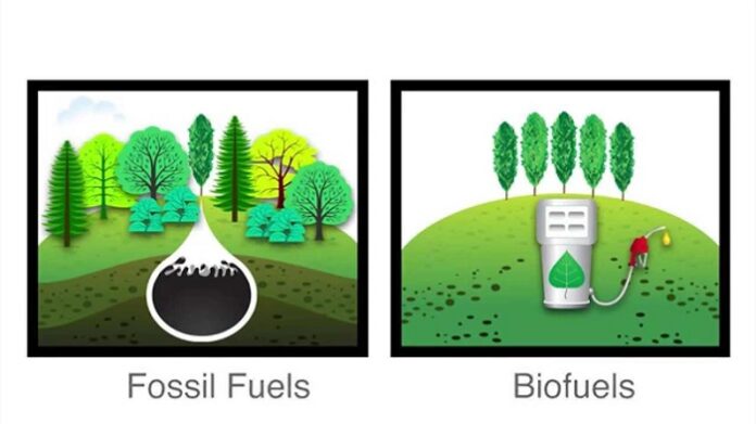 3 Types Of Biofuels: Advantages And Disadvantages | Linquip