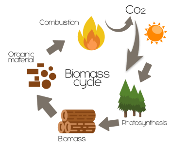 wood - biomass energy examples