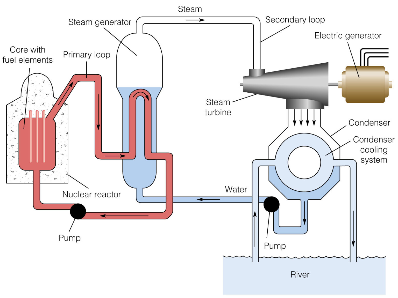 Nuclear Power Plant Diagram: A Complete Guide 2023 | Linquip