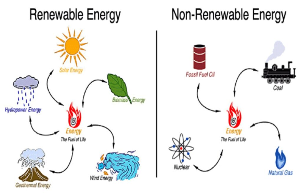 Biomass Renewable or Nonrenewable