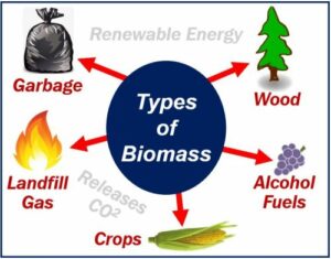 What Is Biomass Energy Pro And Cons Working And Practical Uses