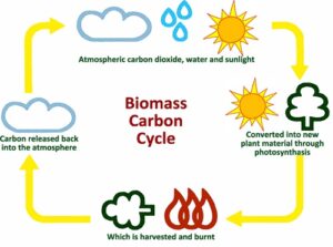 biomass renewable nonrenewable alarming does linquip