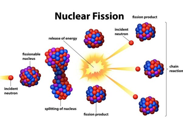 fission hypothesis def