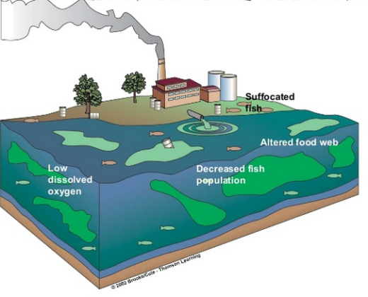 Water Pollution: Cause, Effects, Types & How To Control | Linquip