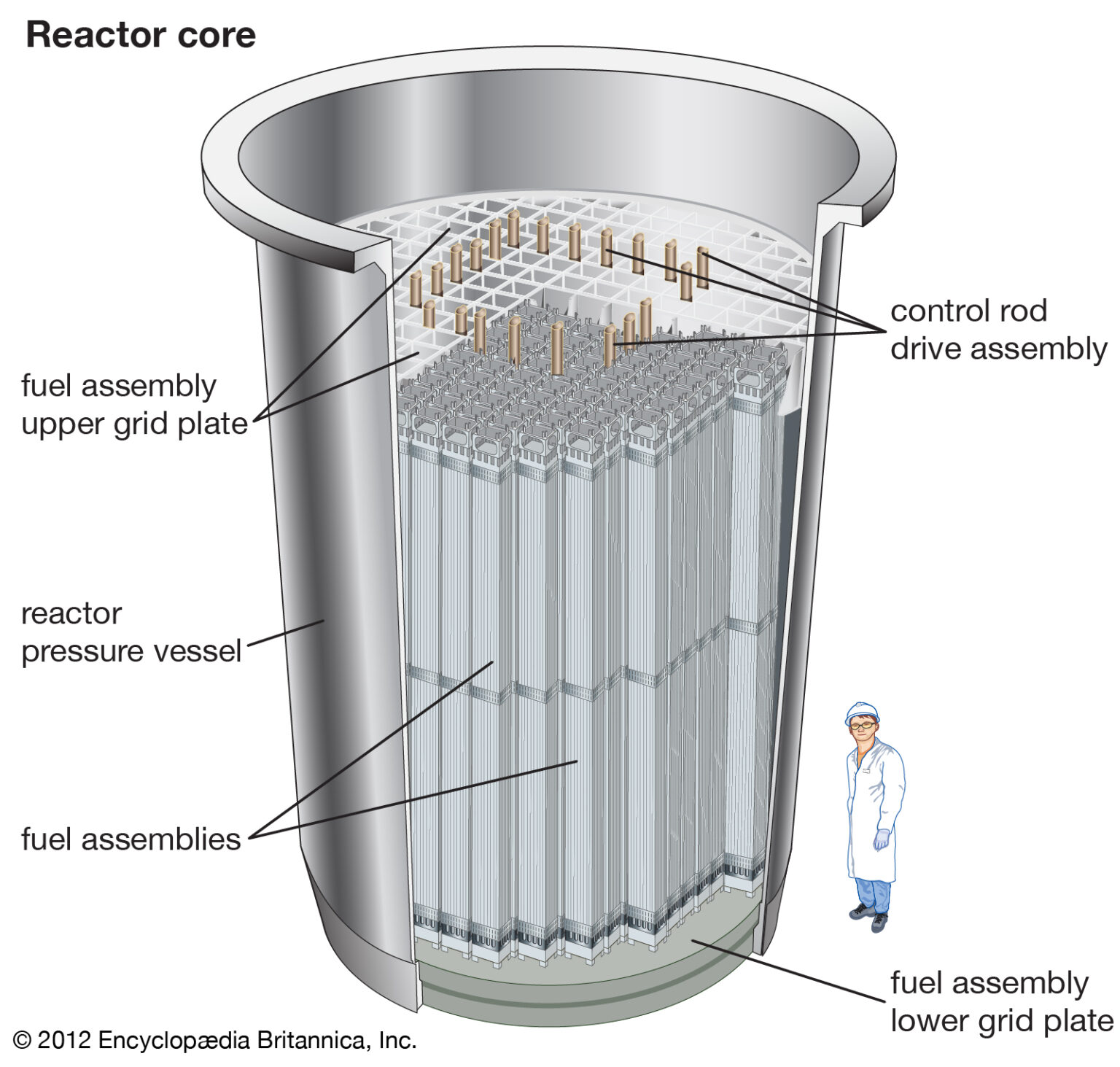 What Are Components Of Nuclear Reactor Linquip