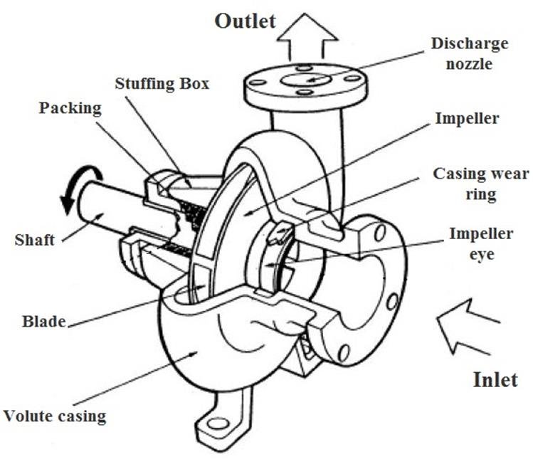6 Main Parts of Centrifugal Pumps