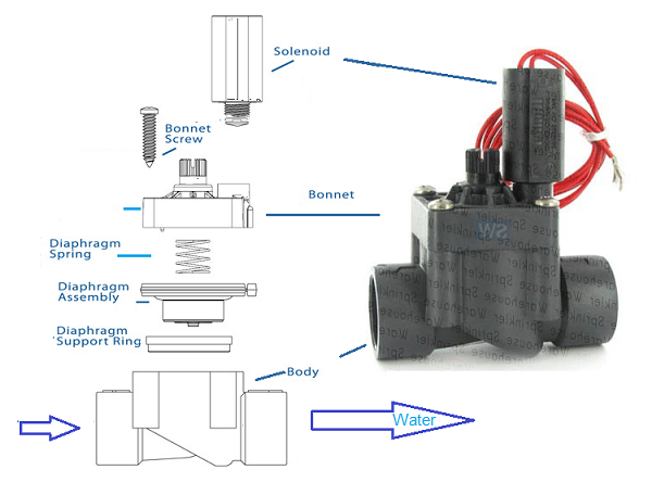 Parts of Sprinkler Valve: Diagram & Replacement Parts