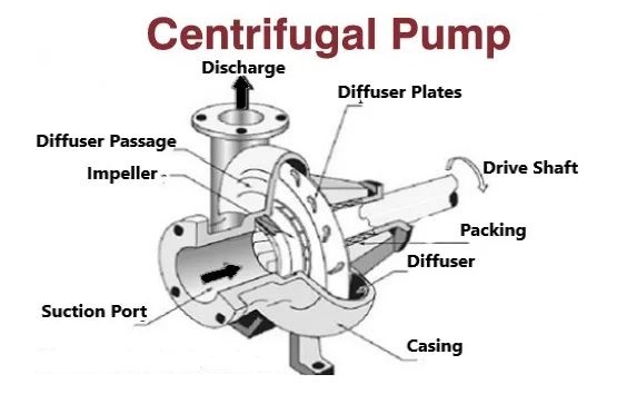 6 Main Types of Dynamic Pumps: Examples + PDF
