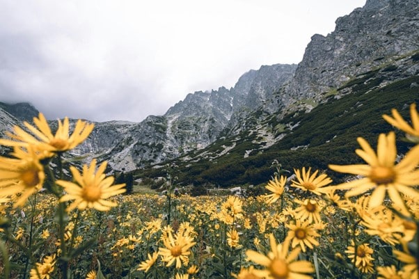 Best Hiking Trails in the High Tatras