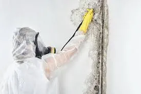 mold-removal-tips-for-homeowners-to-prevent-health-hazards