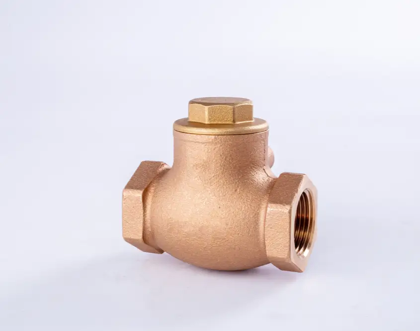 Non Return Valve1